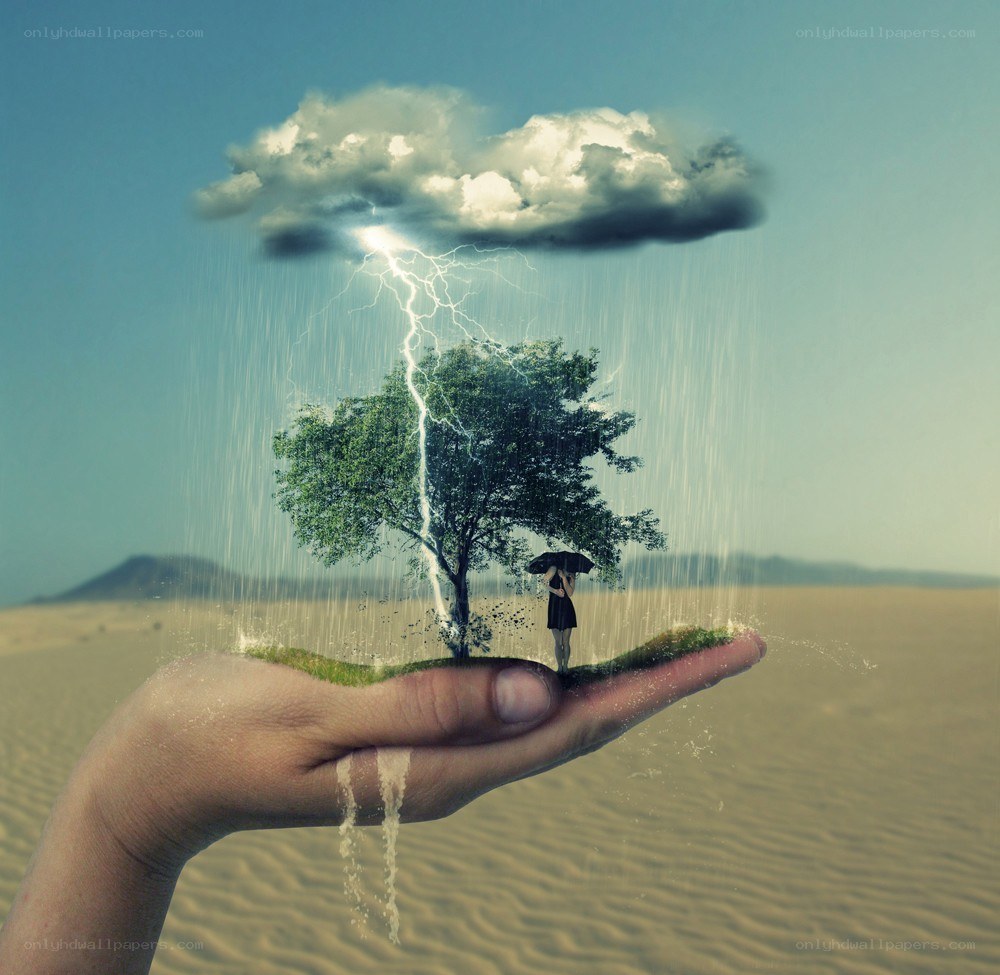 hand holding a rainforest