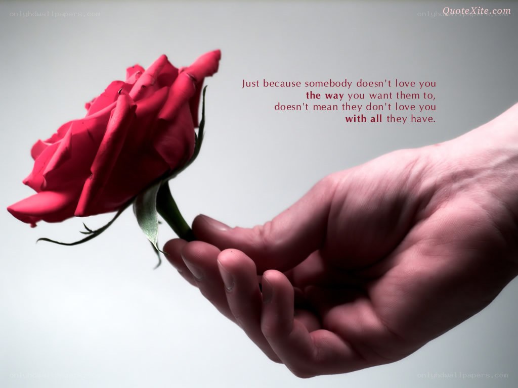 Hand holding a red rose