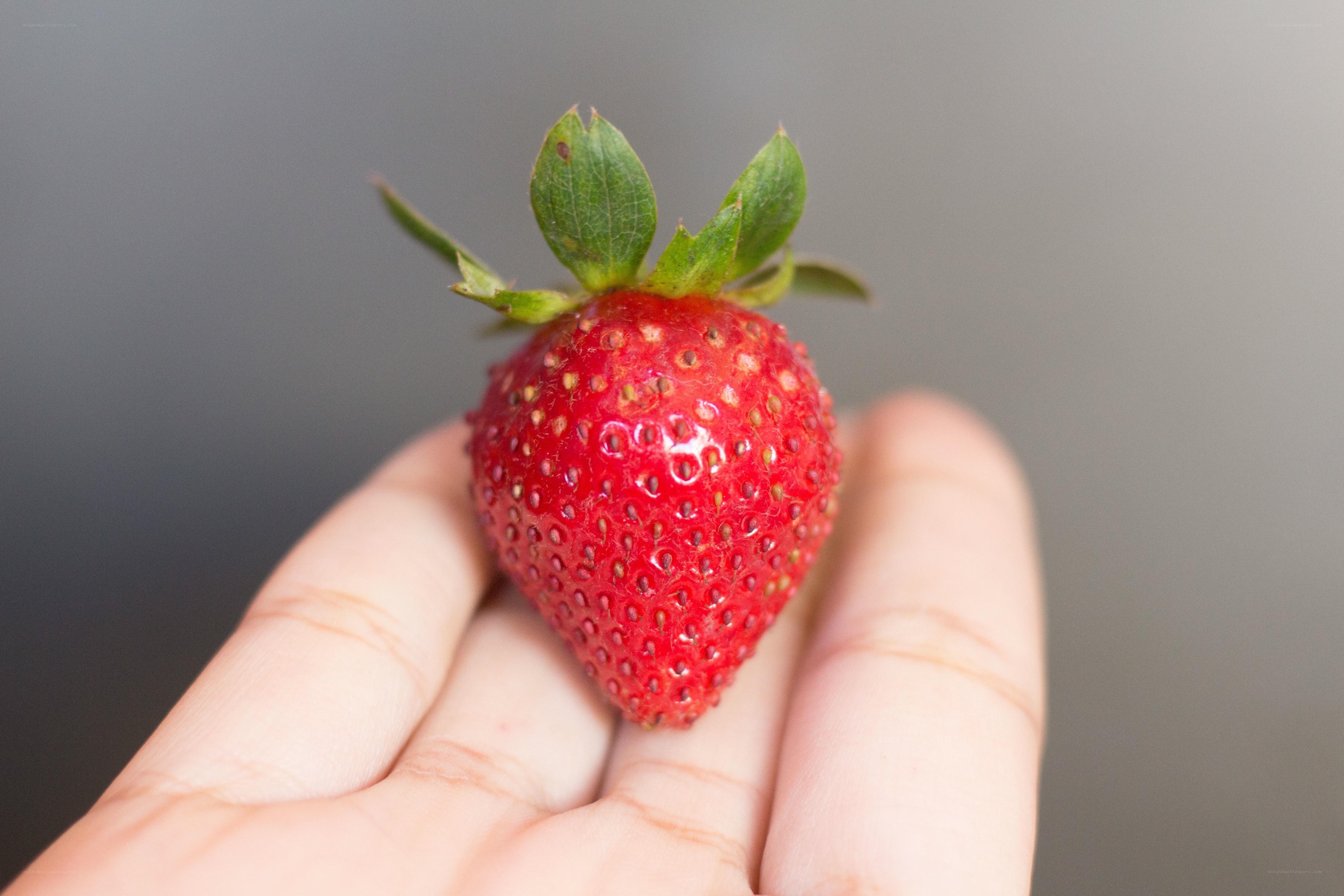 hand holding a strawberry