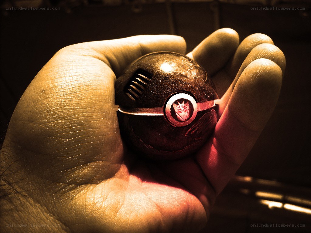 hand holding a transformer ball