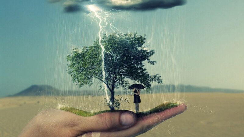 hand holding a tree in storm