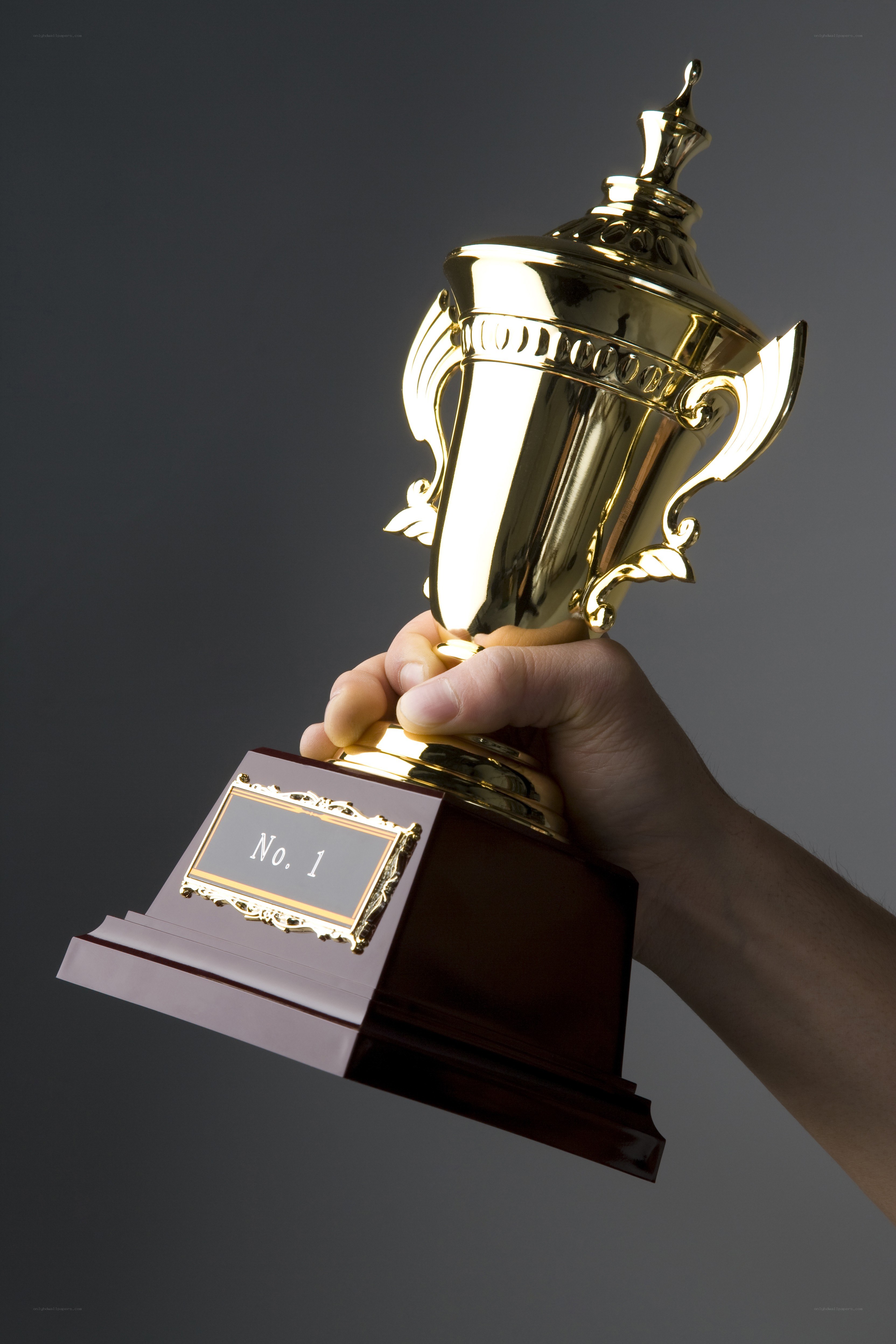 hand holding a trophy