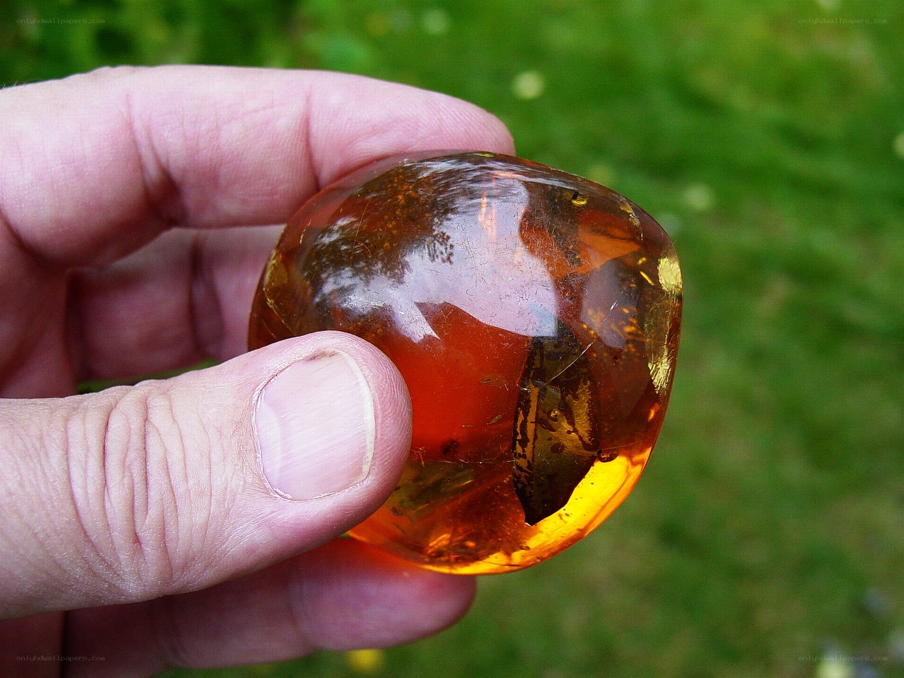 hand holding amber stone