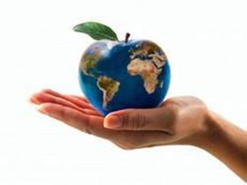 Hand Holding Apple Globe