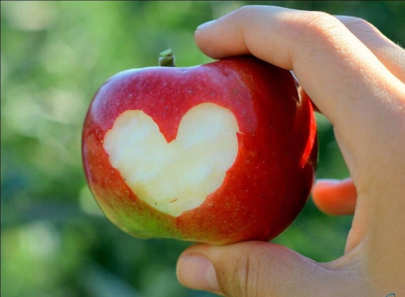Hand Holding Apple — Red, Calm
