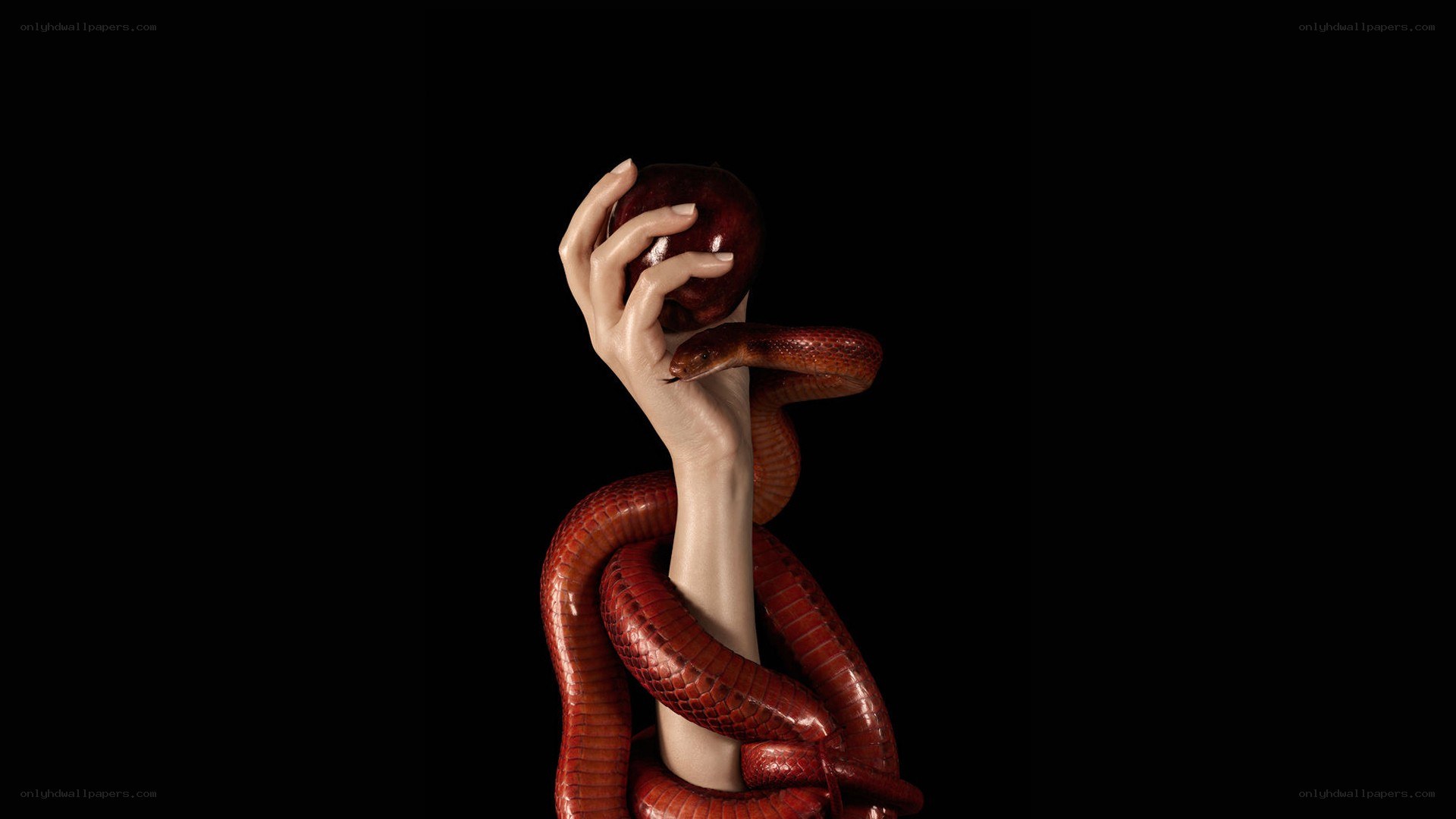 hand holding apple with snake