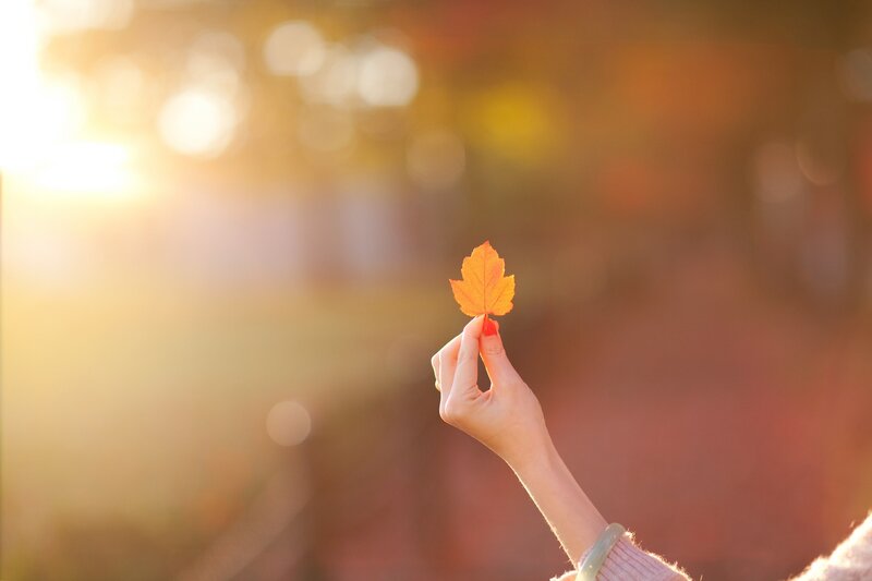Hand Holding Autumn Leaf — Orange, Serene