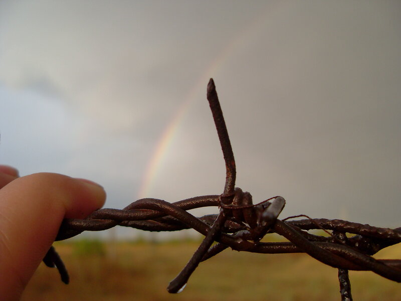 Hand Holding Barbed Wire