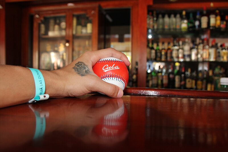Hand Holding Baseball