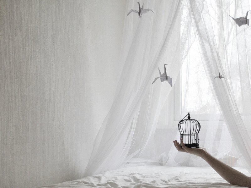 Hand Holding Birdcage