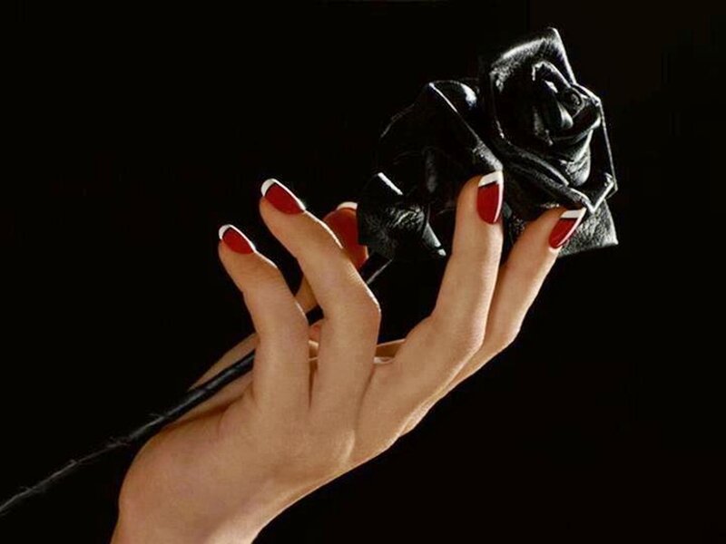 Hand Holding Black Rose — Dramatic, Photograph, Nails