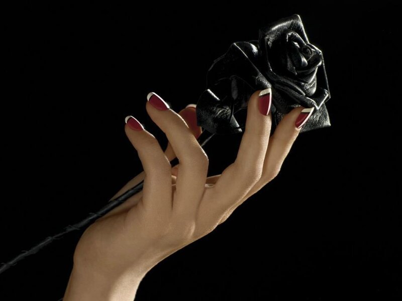 Hand Holding Black Rose — Dramatic, Photograph