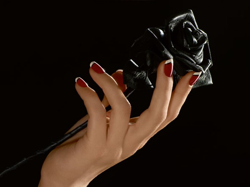Hand Holding Black Rose — Dramatic