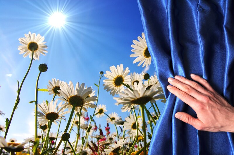 Hand Holding Blue Curtain
