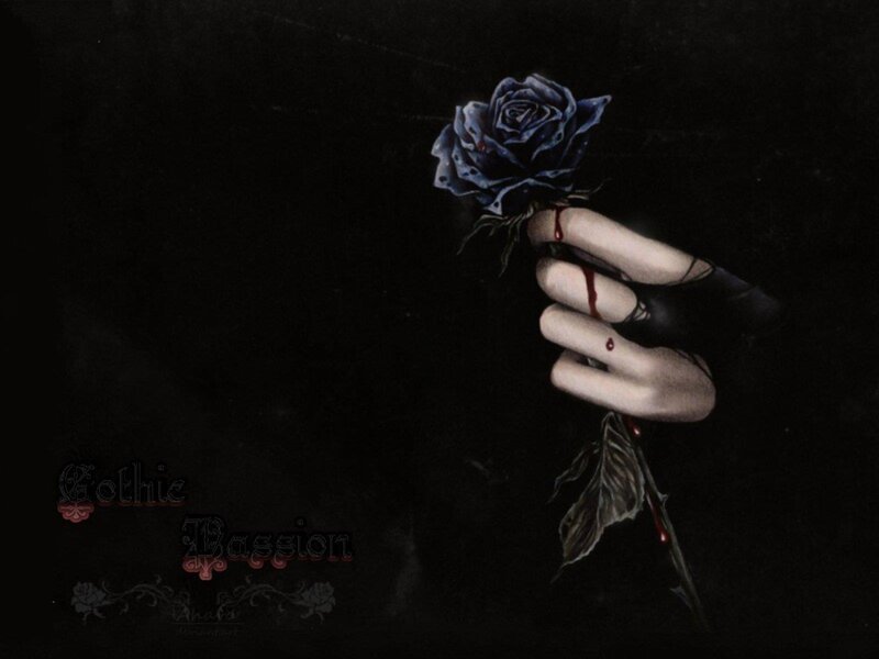Hand Holding Blue Rose — Black, Dark