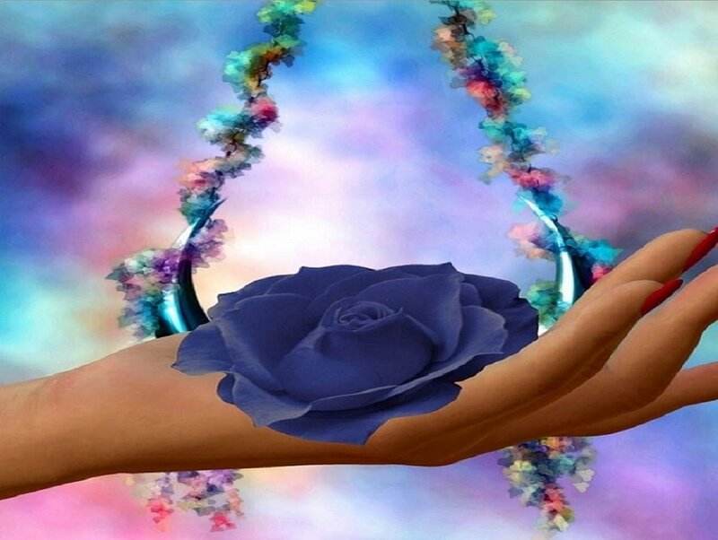 Hand Holding Blue Rose — Dreamy