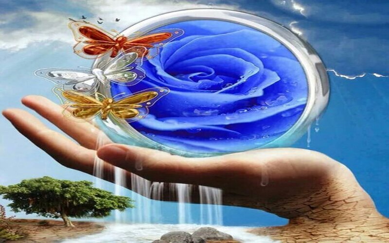 Hand Holding Blue Rose — Serene