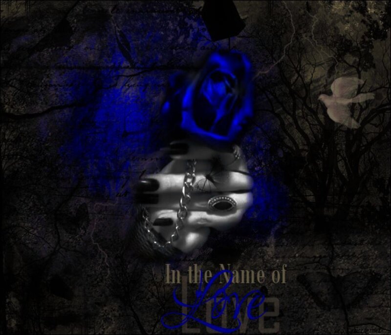 Hand Holding Blue Rose