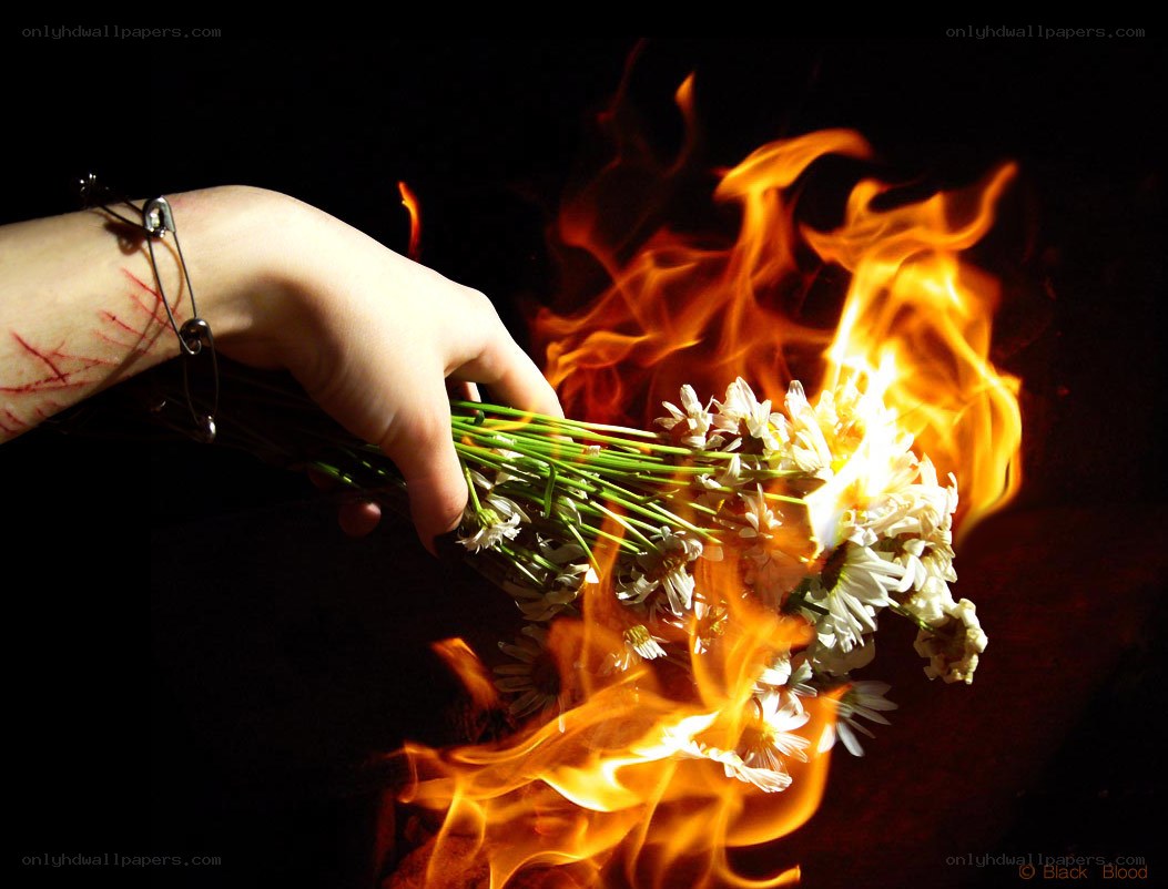 hand holding burning flowers