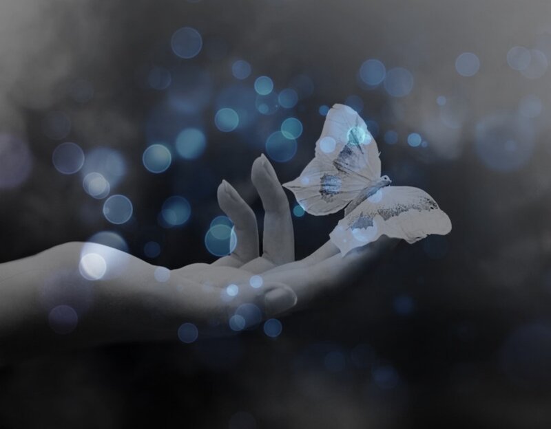 Hand Holding Butterfly
