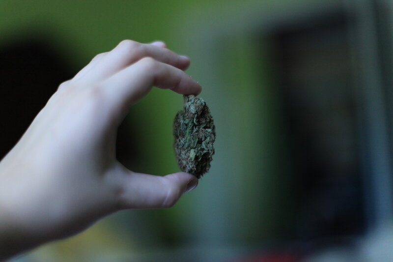 hand holding cannabis bud