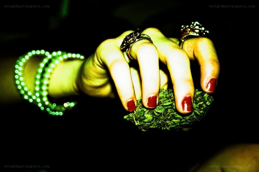 hand holding cannabis bud