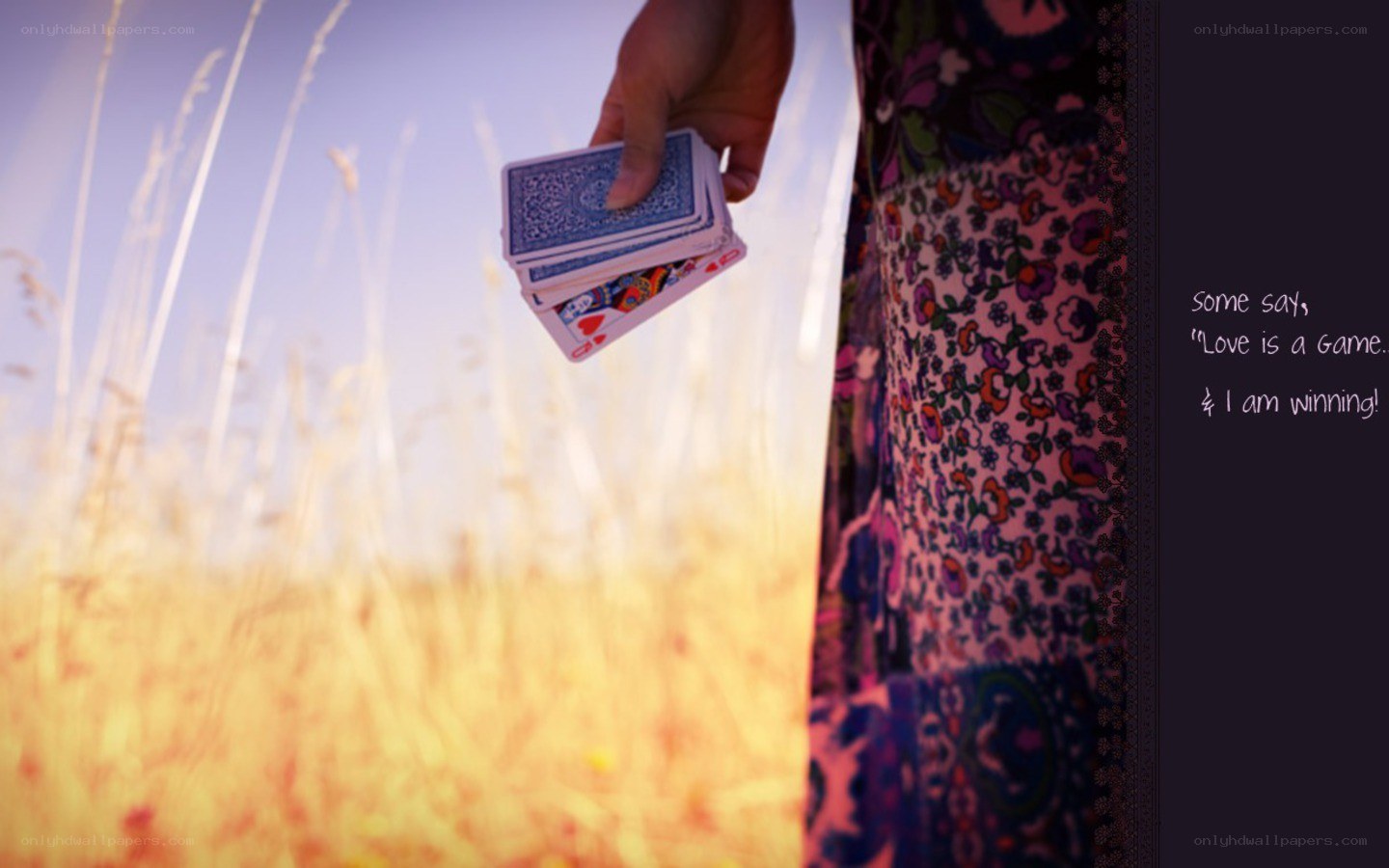 hand holding cards in field