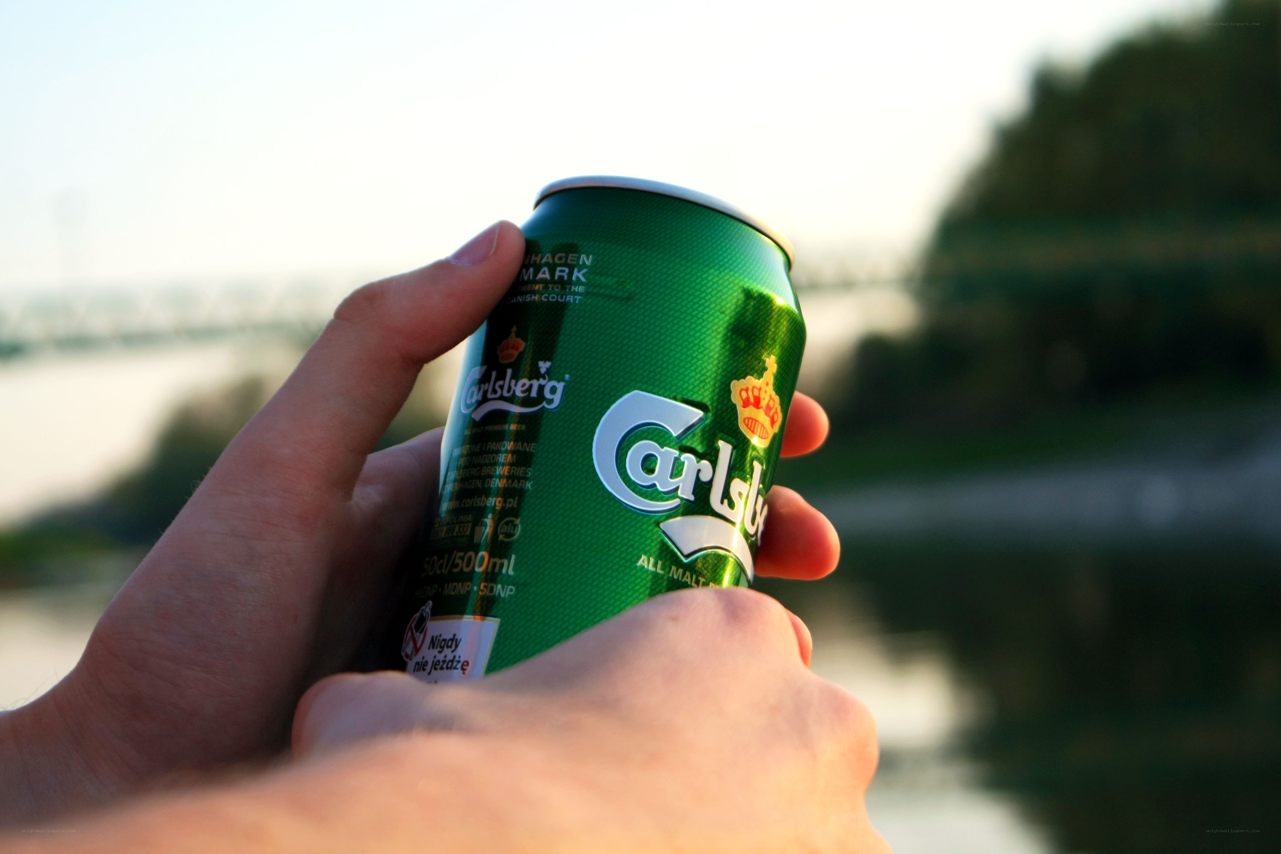 hand holding carlsberg can