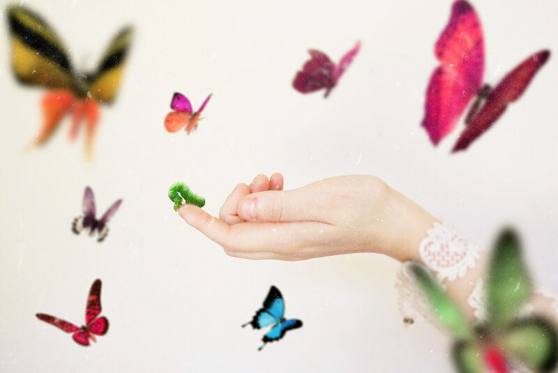 Hand Holding Caterpillar — White