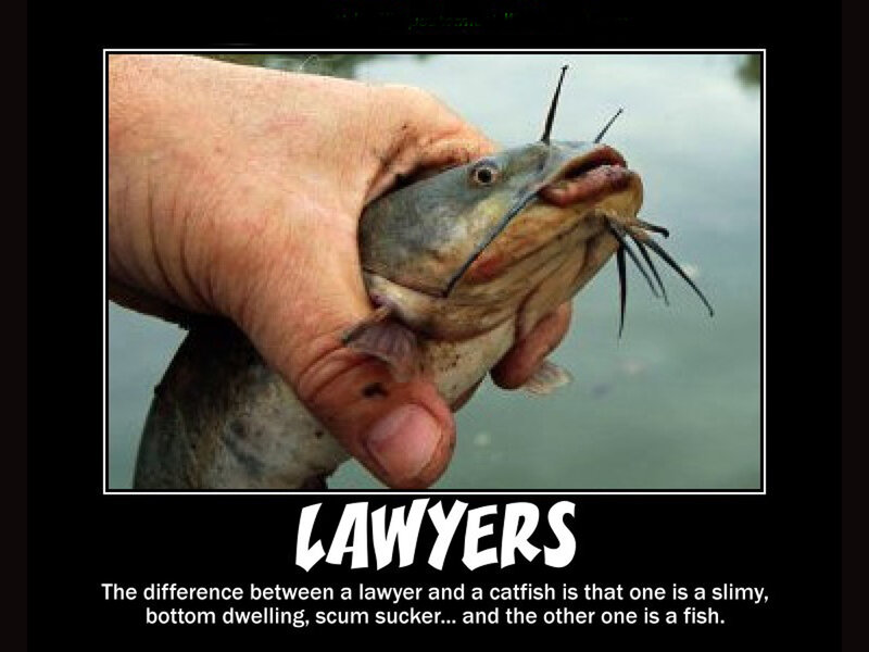 Hand Holding Catfish
