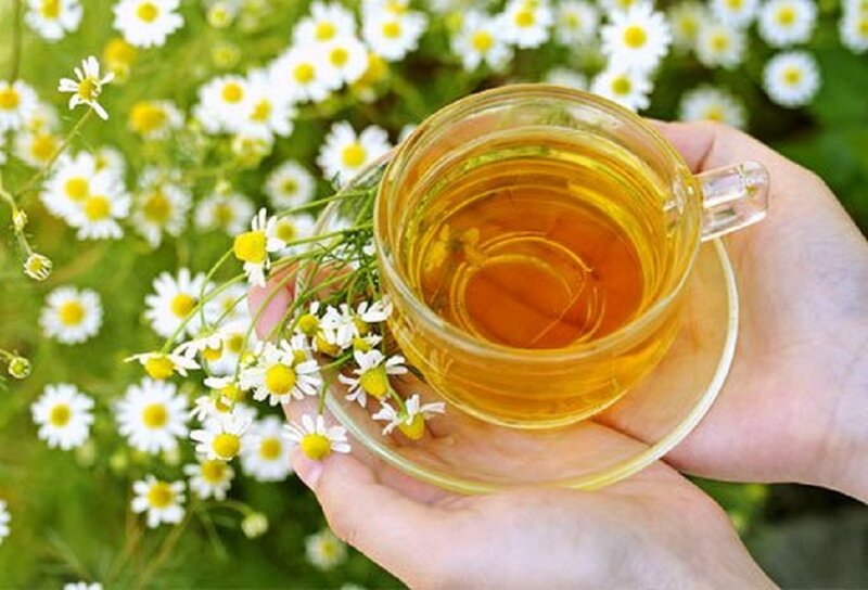 Hand Holding Chamomile Tea