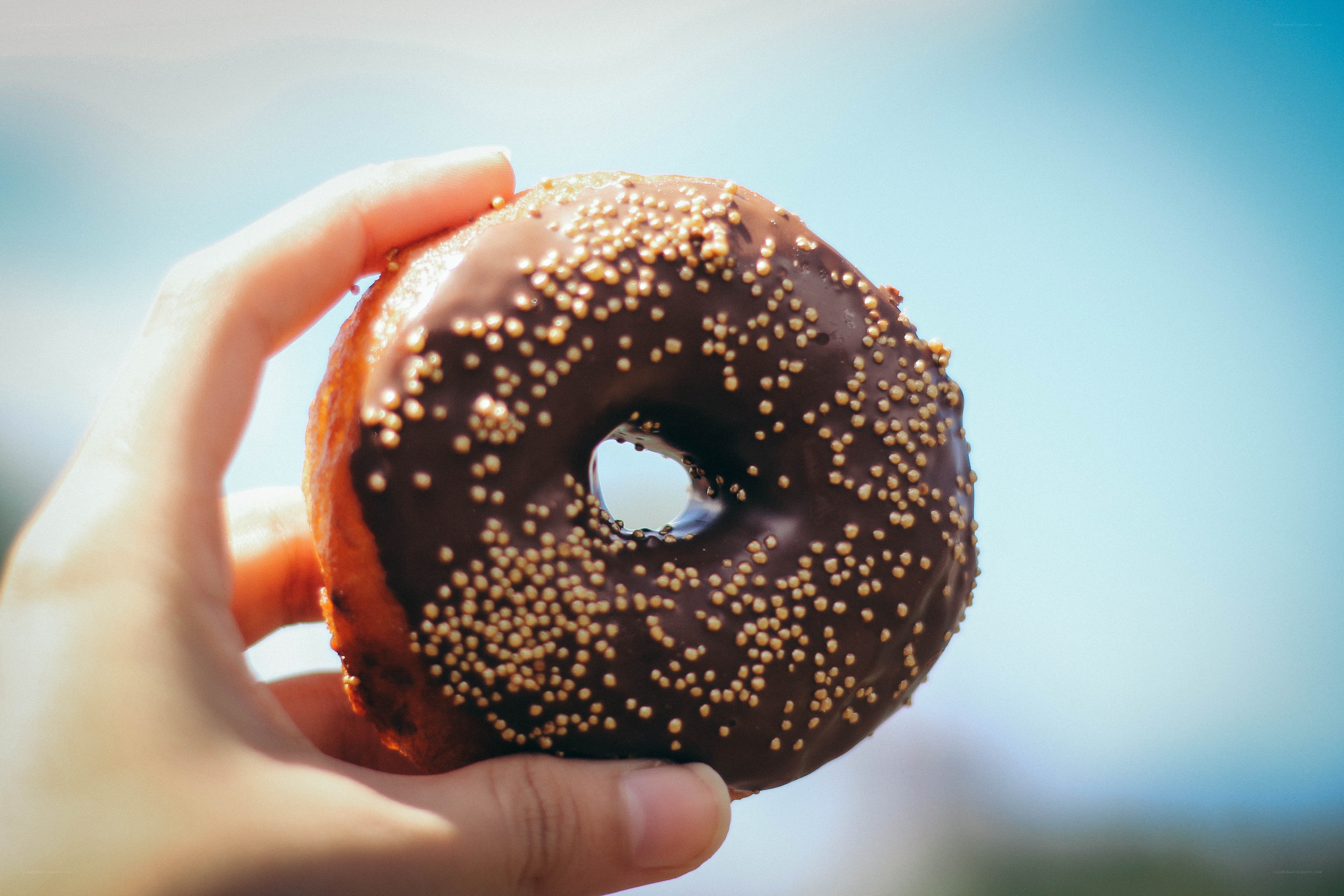 hand holding chocolate donut