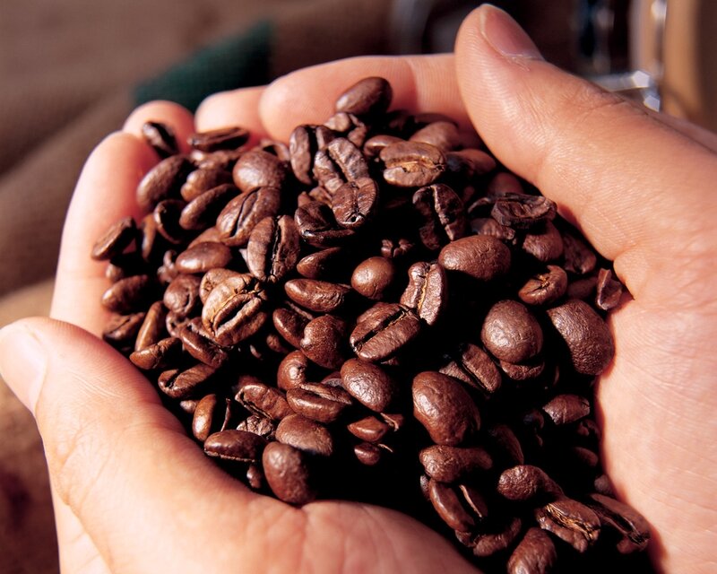 hand holding coffee beans