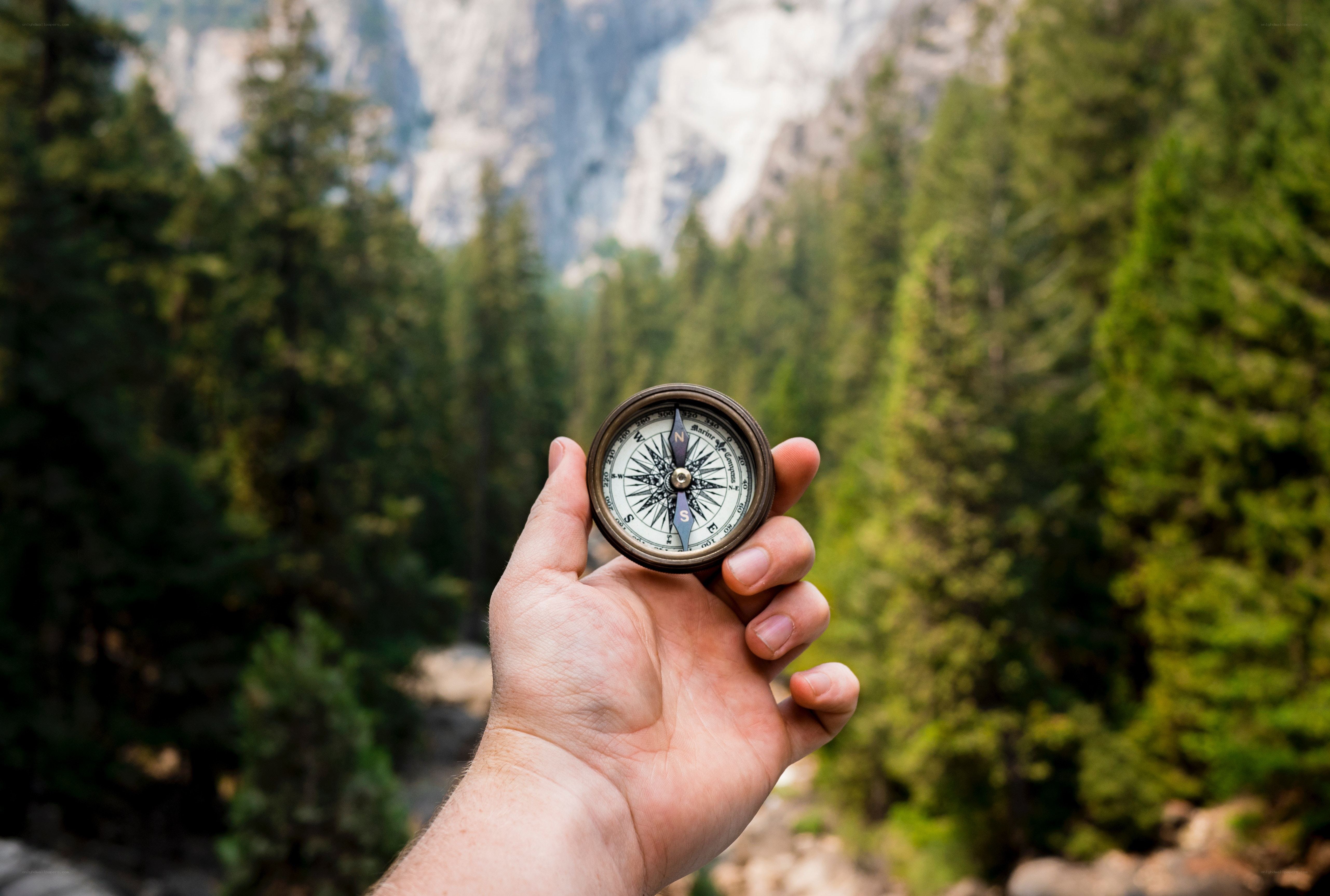 Hand holding compass in forest