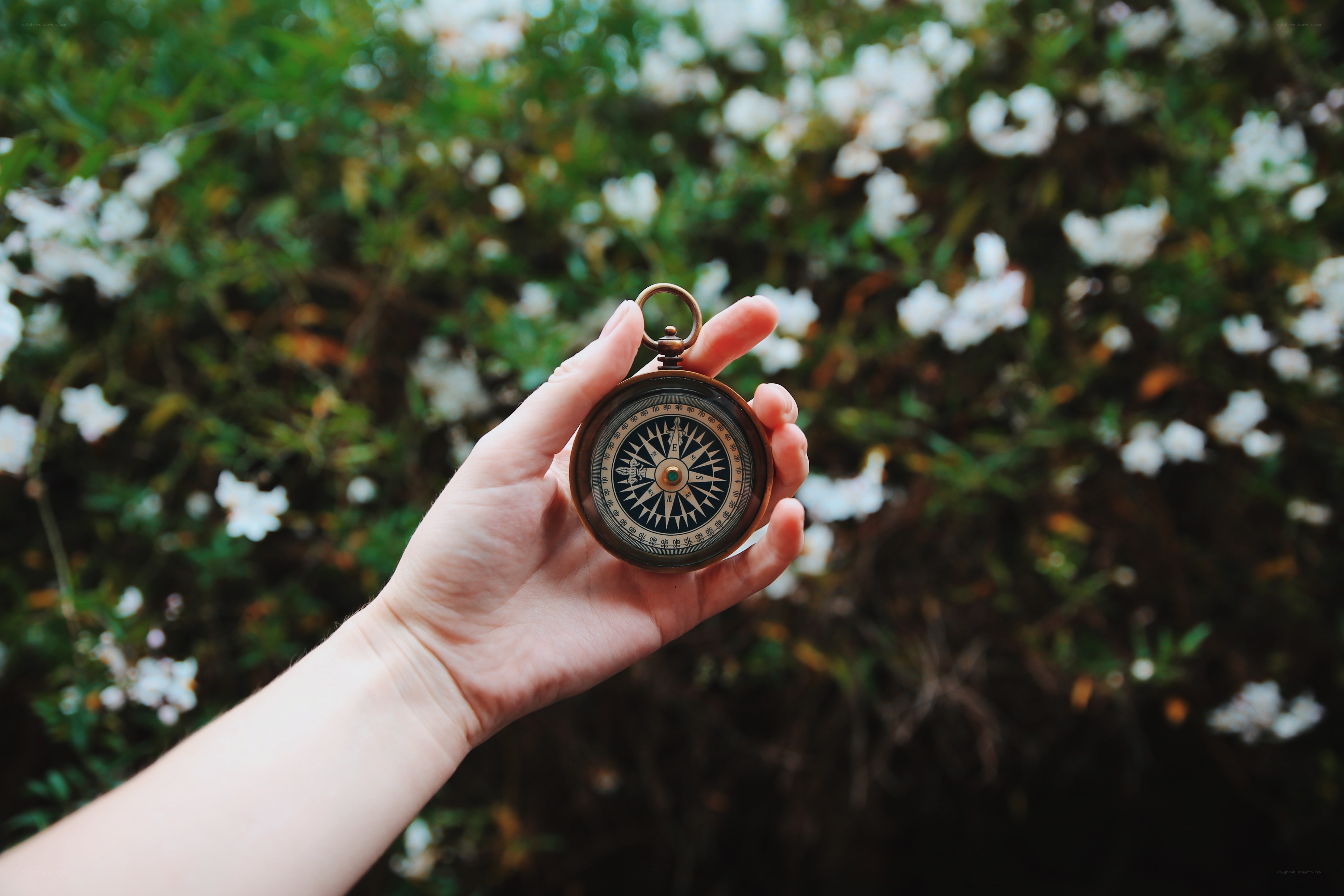 hand holding compass outdoors