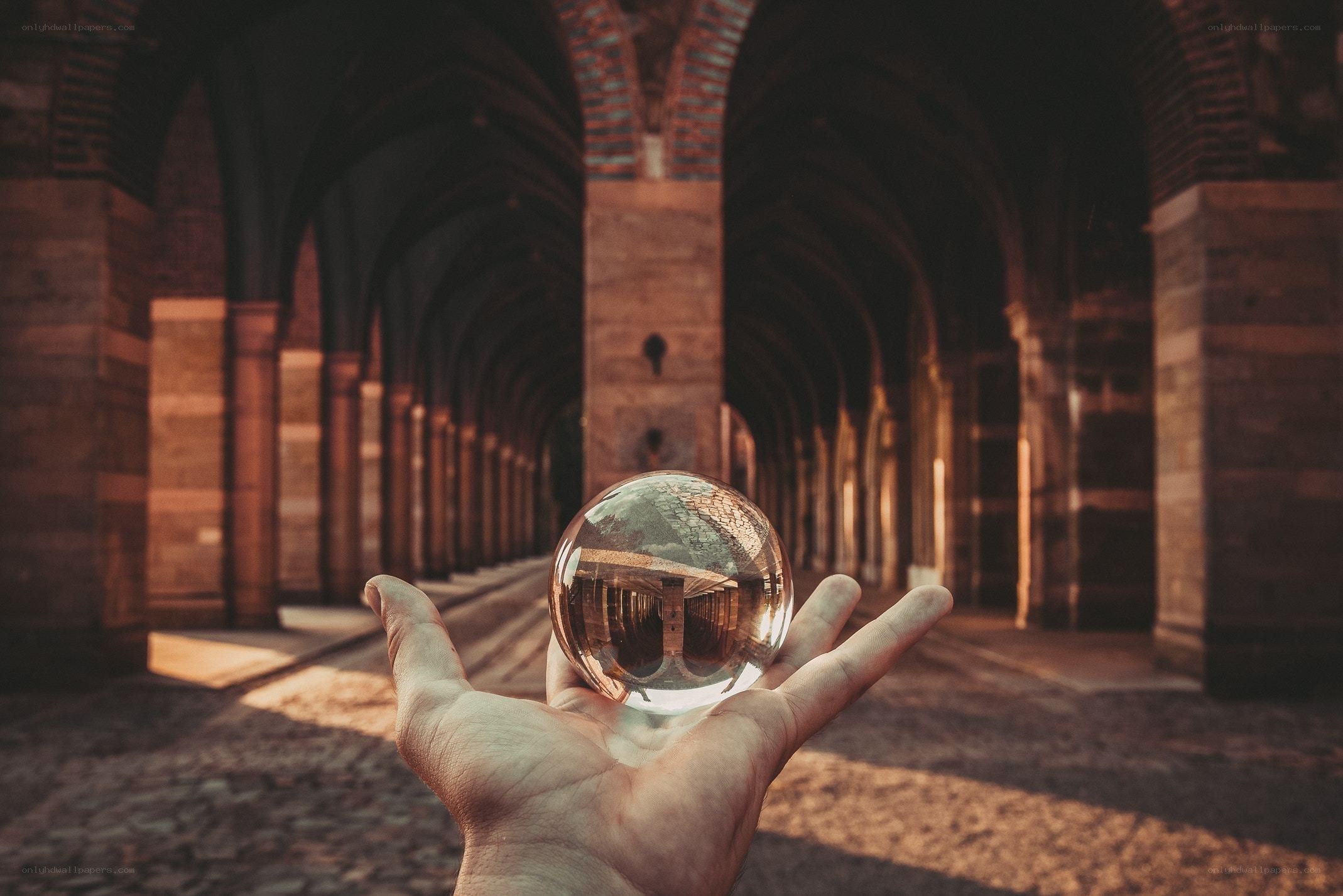 hand holding crystal ball
