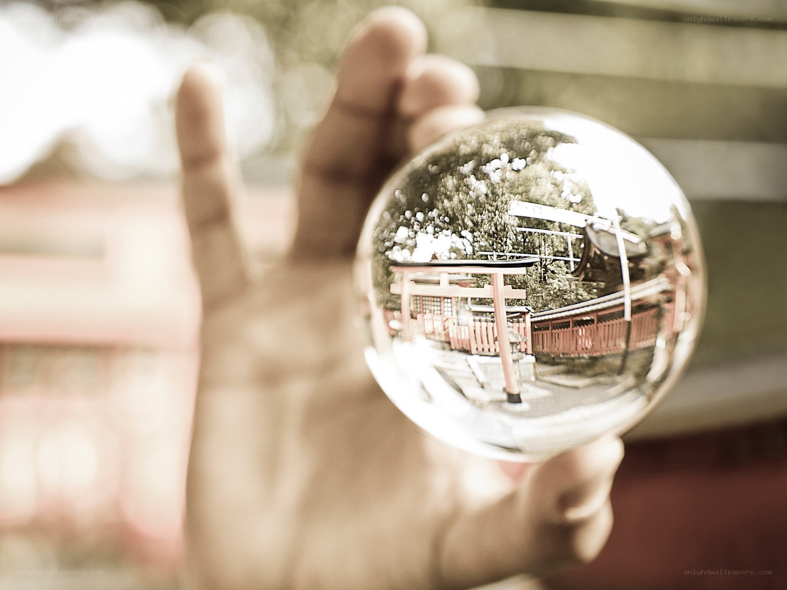 Hand holding crystal ball