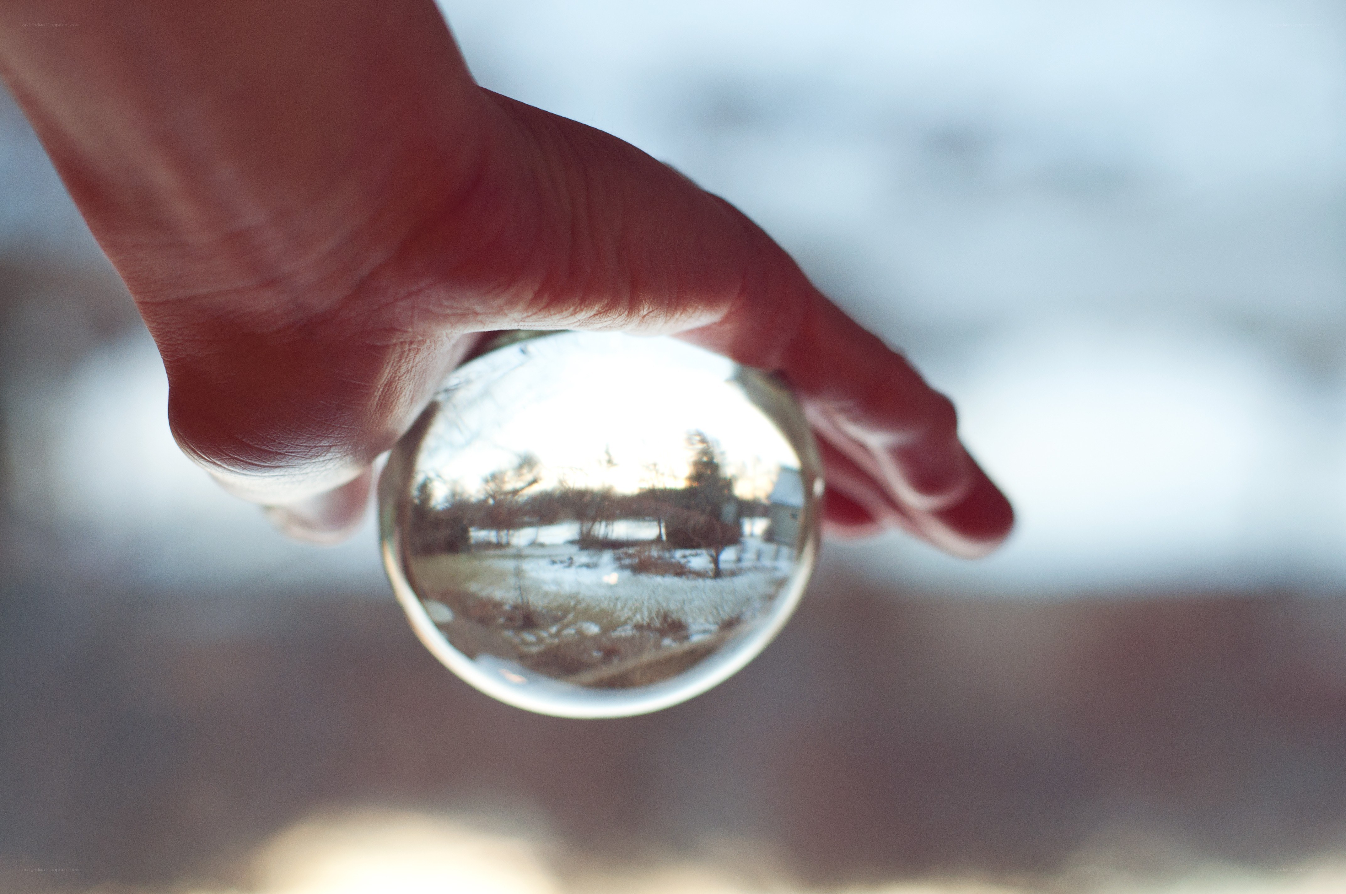 hand holding crystal ball