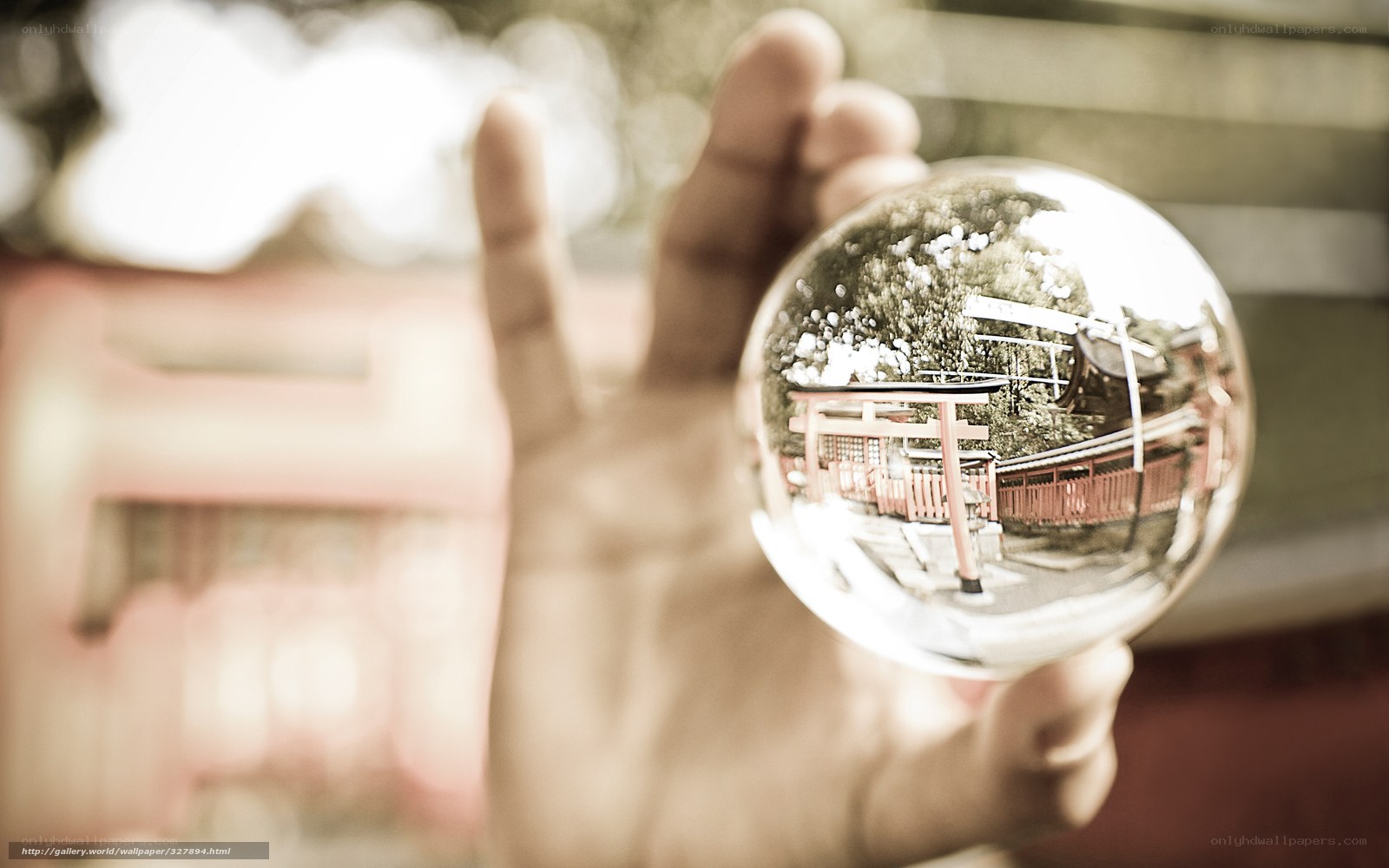 Hand holding crystal ball