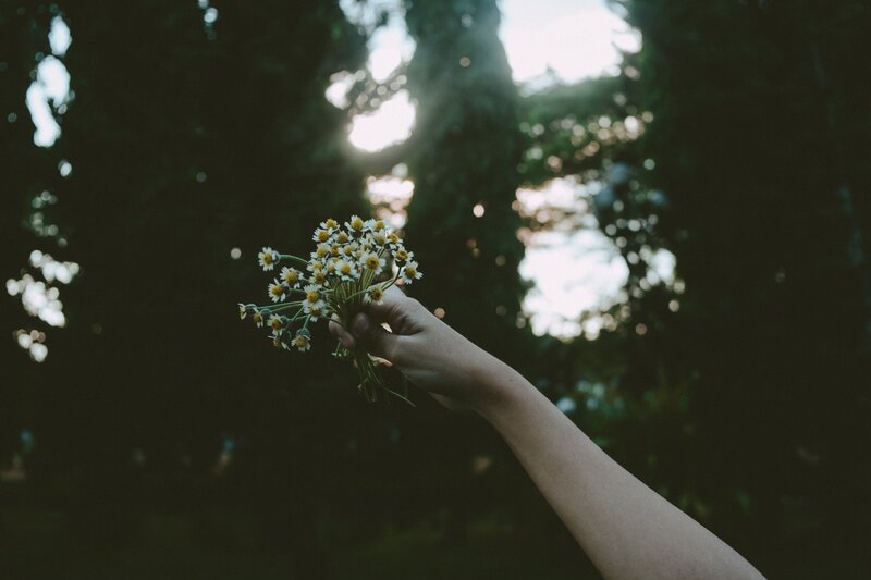 Hand Holding Daisies — Green