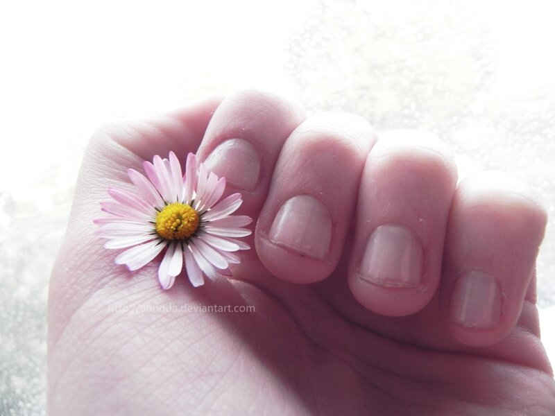 Hand Holding Daisy Flower — Pink