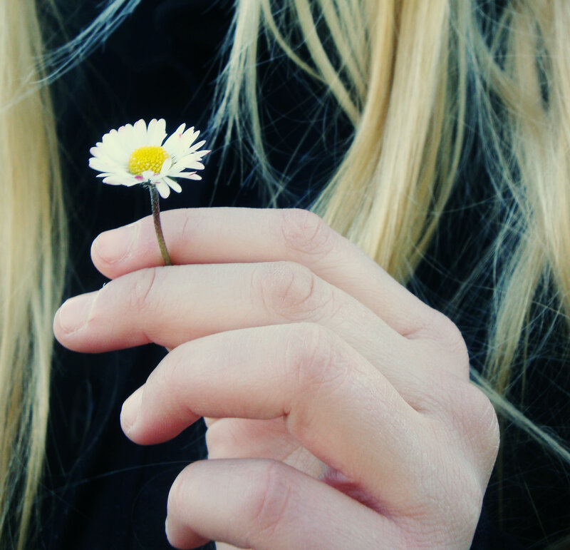 Hand Holding Daisy — White