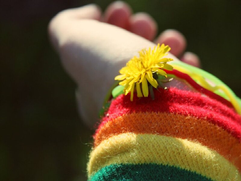 Hand Holding Dandelion — Red