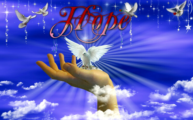 Hand Holding Dove