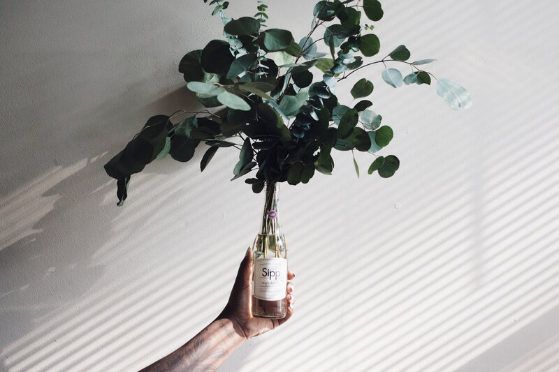 Hand holding eucalyptus in bottle