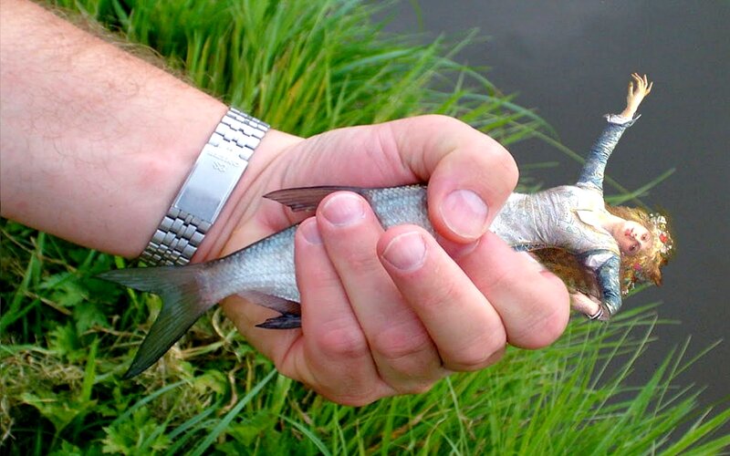 Hand Holding Fish