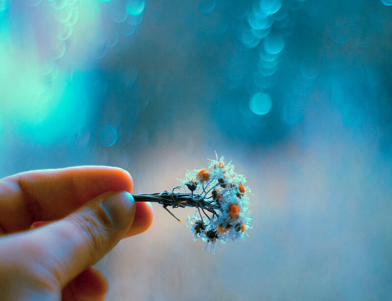 Hand Holding Flower — Blue