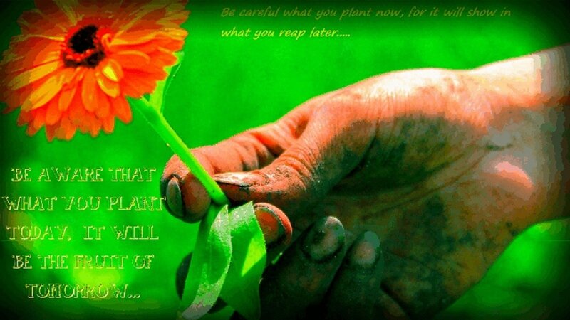 Hand Holding Flower — Green
