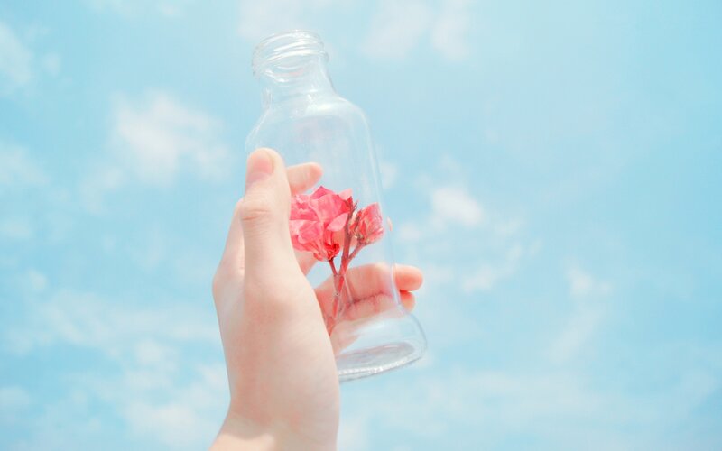 Hand Holding Flower in Bottle