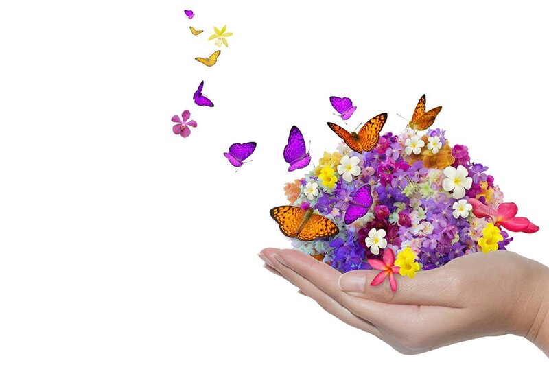 Hand Holding Flowers and Butterflies